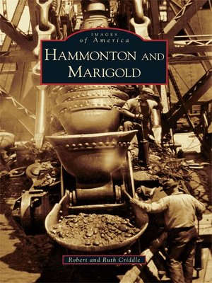 cover image of Hammonton and Marigold